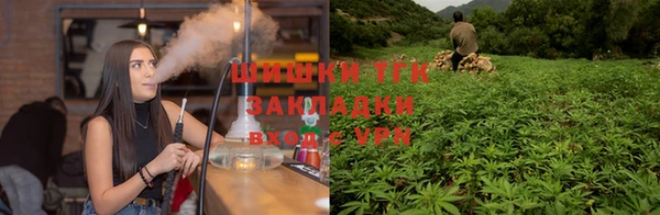 молекула духа Балахна