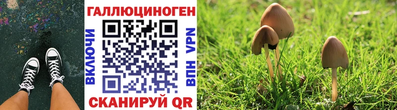 Галлюциногенные грибы мицелий  Купить закладки  Вельск 
